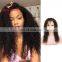 Youth Beauty Hair 2017 top quality Malaysian human virgin hair lace front wig in kinky curly raw unprocessed hair