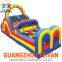 Young People Inflatable Slide and Bouncer for Indoor Playground