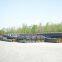 H section steel  custom Steel Structural factory  Steel Structural