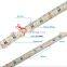 DC12V Waterproof IP65 RGBW RGBWW LED Strip Light Changing Color for Accent Decorative Holiday