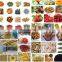 mushroom drying machine /air drying machine /garlic drying machine