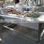 Factory Supply Fruit And Vegetable Washing Line Fruit And Vegetable Washing Machine Fruit Cleaning Machine