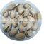 premium high quality cheap price pistache phistachios pistazien pistchios without shell