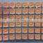 Granular needles (wang bu liu xing zi) - Runshi brand 600 / pack