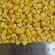 Pure nature organic freeze dried sweet corn