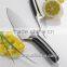 Stainless Steel Knife, Paring Knife, Chef Knife