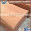 rotary cut 0.22-0.35mm door size bintangor face veneer