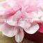 Hot sell ! ! Fashion handmade flower nes design .roll Satin colth flower