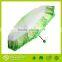 Special Invention Portable Fanny Cabbage Fold Vegetable Umbrella