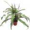 artificial 10-90cm bush/ fern/ grass/ decoration