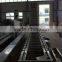 5 ton LXJ-5 Model showering (water bath) type berry fruit cleaner(Industrial berry fruits washer)