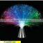 Frankever popular bright decoration Multicolor Fiber Optic Light