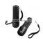 Zoom focus high power UV flashlight