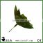 Plastic Small Artificial Green Echeveria Succulent Branch for Sale