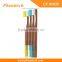2015 Hot Sale OEM 100% biodegradable eco bamboo toothbrush