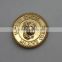 Custom Metal Gold plated souvenir pins