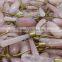 semi precious healing rose quartz crystals wholesale massage wand