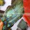 Wholesale Flashy Small Labradorite Slab Crystal Slice