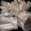 High Pure Calcium Metal 99.0% Min