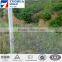 anping professional factory made barbed wire price per roll