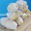 Fresh Potato Manufacture