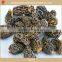 Real wild AD dried Morchella mushrooms with 2-7cm