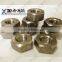Duplex S31803 &1.4462 S32750 / 1.4410 stainless steel fasteners lock Hex nuts S32760 / 1.4501
