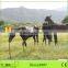 livestock fence energiser
