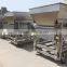 Stainless Steel E-scale Vibrating Conveyor for Suger powder