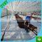Popular new material pp woven weed control mat