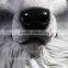 Resin wall animal head mount carved wolf head