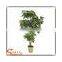 Factory hot sale green artificial money tree make cheap outdoor large money tree