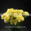 unique Fresh Carnation/Holiday gifts/Decorative flowers carnation for birthday