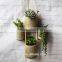 Unique Beautiful Home & Garden Decoration Nature Green Bamboo Flower Vase
