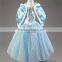 Wholesale price girls dress Frozen Fever dresses for kids, Little Girls Christmas dress