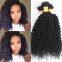 14 Inch Brown 12 -20 Inch No No Lice Damage Brazilian Curly Human Hair