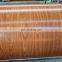 Metal Roofing Sheet/PPGI/Pre-Painted Color Coated Corrugated Steel