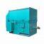 10KV AC motor for water pump