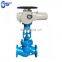 Hot Selling PN10 Grey Iron Body Motorized Parallel Double Disc Gate Valve