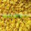 Puffed Corn Snacks Making Machine/Corn Tortillas Maker