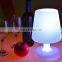 indoor or outdoor decorative  illuminated cordlessled table lamp for kids reading