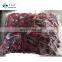 Tropical Fruit Yungmei Bayberry Frozen Waxberry