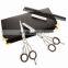 Hairdressing Razor Edge Scissors,Barber Hair Thinning Scissors+PRESENTATION CASE/ Beauty instruments manicure and pedicure
