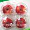 PET disposable plastic fruit Tray/container