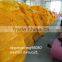 50*80 vegetables mesh bag for onion shandong factory