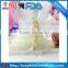 vacuum plastic bag/vacuum bag