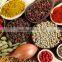 High Quality Indian Spices