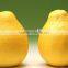 2015 new crop fresh sweet Pomelo with best price for sale