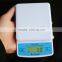 WH-B17 new kitchen weighing digital scale 1kg