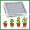 Wholesale 300W Led Grow Full Spectrum Light